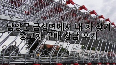 담양군 금성면에서 내 차 찾기! 🚗 중고차 구매 상담 후기